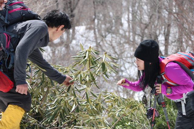 HAKUBAVALLEY鹿島槍スキー場(鹿島槍スポーツヴィレッジ) 3枚目