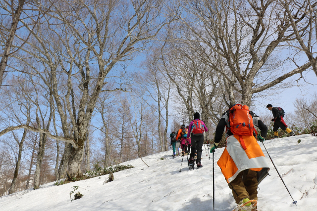 HAKUBAVALLEY鹿島槍スキー場(鹿島槍スポーツヴィレッジ) 2枚目