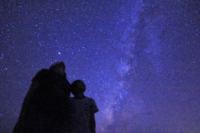 【沖縄・西表島・ナイトツアー】日本初の星空保護区で癒しの「星空ナイトツアー」 写真5