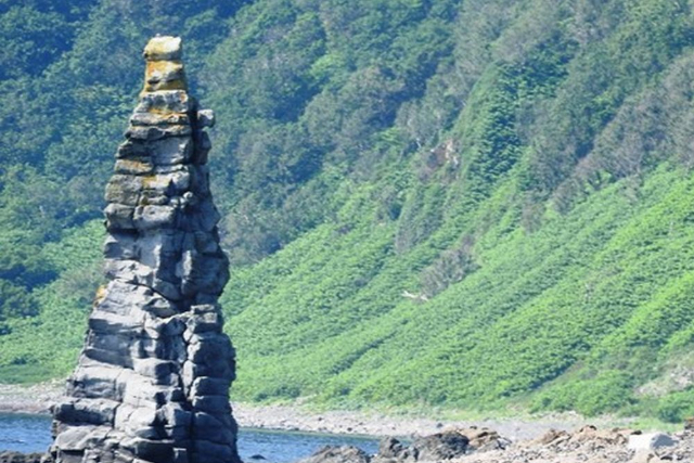【北海道・知床・クルージング】大迫力の旅。知床岬＆ヒグマウォッチングコース 写真7
