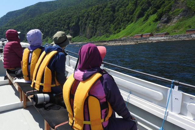 【北海道・知床・クルージング】大迫力の旅。知床岬＆ヒグマウォッチングコース 写真4