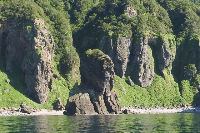 【北海道・知床・クルージング】知床の羆を目撃！ヒグマウォッチング・ルシャコース 写真5