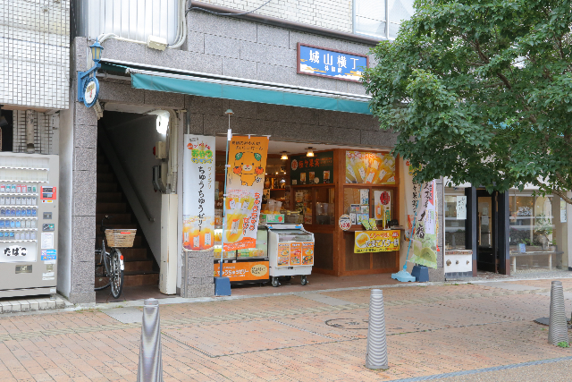 【愛媛・松山・藍染め体験】小さいお子様も参加可能！家族でできる藍染め体験 写真4