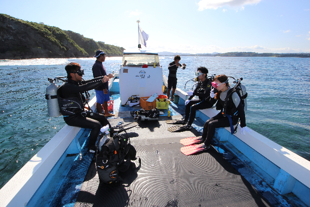【沖縄・古宇利島・体験ダイビング】美しい海を堪能！ボートで行く体験ダイビング 写真8