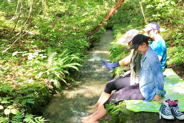 【長野・信濃・森林セラピー】じっくり自然に身を任せる森林セラピー（1日） 写真2