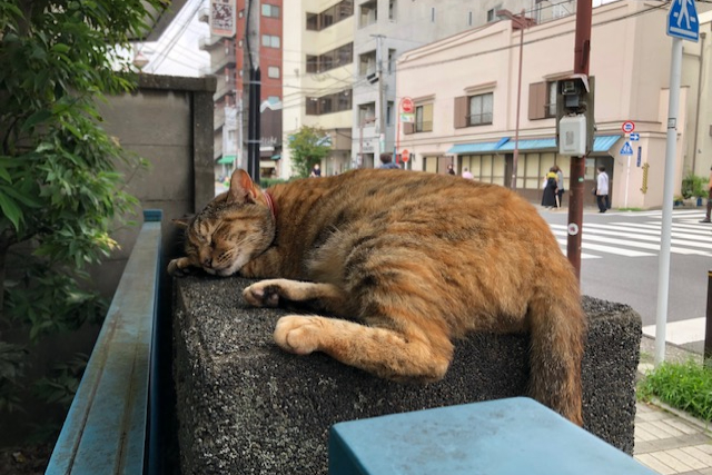 【東京・日暮里・食べ歩き】谷中の下町の魅力を味わう！ウォーキング＆食べ歩きツアー 写真7