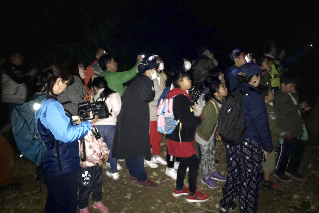 【大分・佐伯・ハイキング】沢山の自然が残る街中の城跡。城山ナイトハイクツアー 写真7