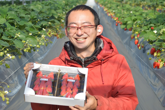 【埼玉・吉見・いちご狩り】土耕と高設の良いとこどり！5種類のいちご40分食べ放題 写真7