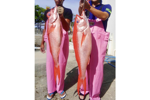 【沖縄・豊見城・海釣り】行先や出発時間が相談可能！大型の魚が狙えるジギングプラン 写真2