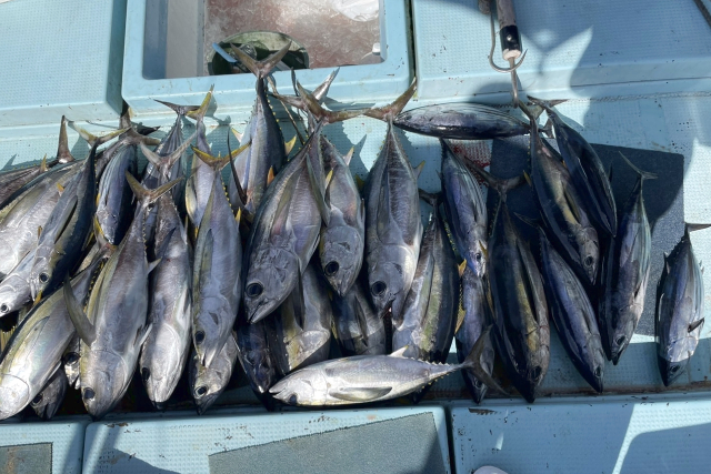 【沖縄・豊見城・海釣り】釣った魚はお持ち帰り！大型の回遊魚が狙えるパヤオプラン 写真3