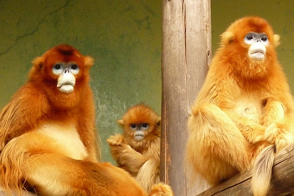 関西 大阪 大阪駅梅田駅福岛淀屋桥本町 gravity research umeda グラ