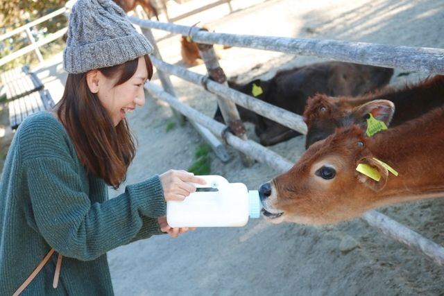 那須高原りんどう湖ファミリー牧場 1枚目