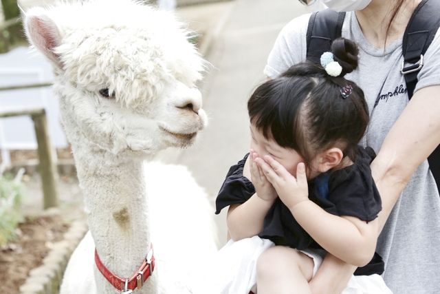 那須高原りんどう湖ファミリー牧場 5枚目