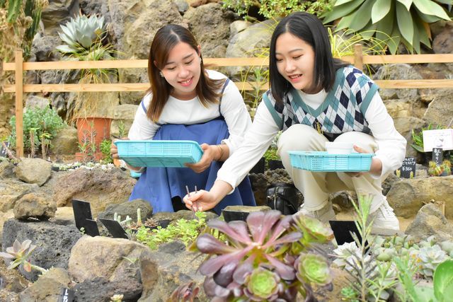 【最大200円割引】伊豆シャボテン動物公園 WEBチケット 【最大200円割引】伊豆シャボテン動物公園 WEBチケット