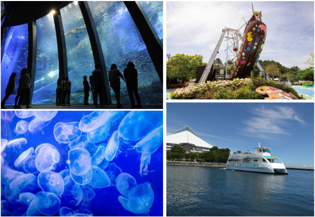 直チケ ワンデーパス※各水族館/アトラクションの入口へ直接お越しください。 直チケ ワンデーパス※各水族館/アトラクションの入口へ直接お越しください。
