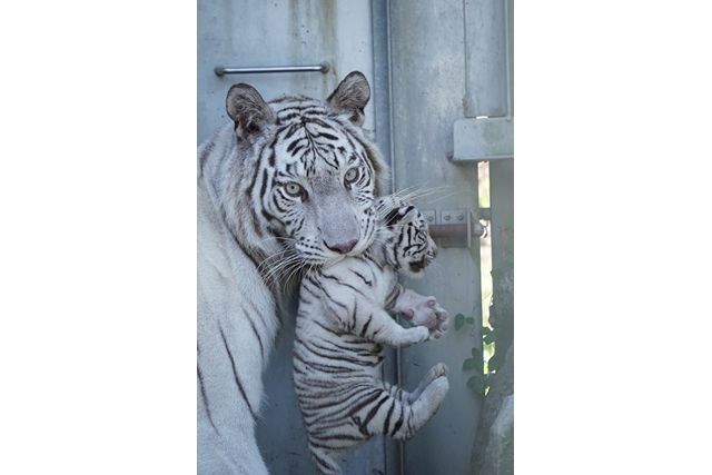 伊豆アニマルキングダム 2枚目