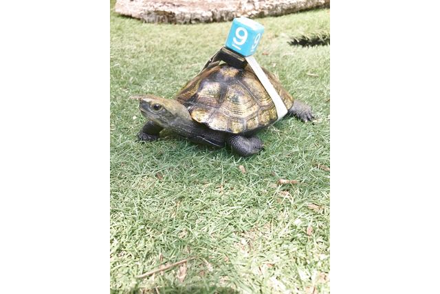 体感型動物園iZoo 写真8