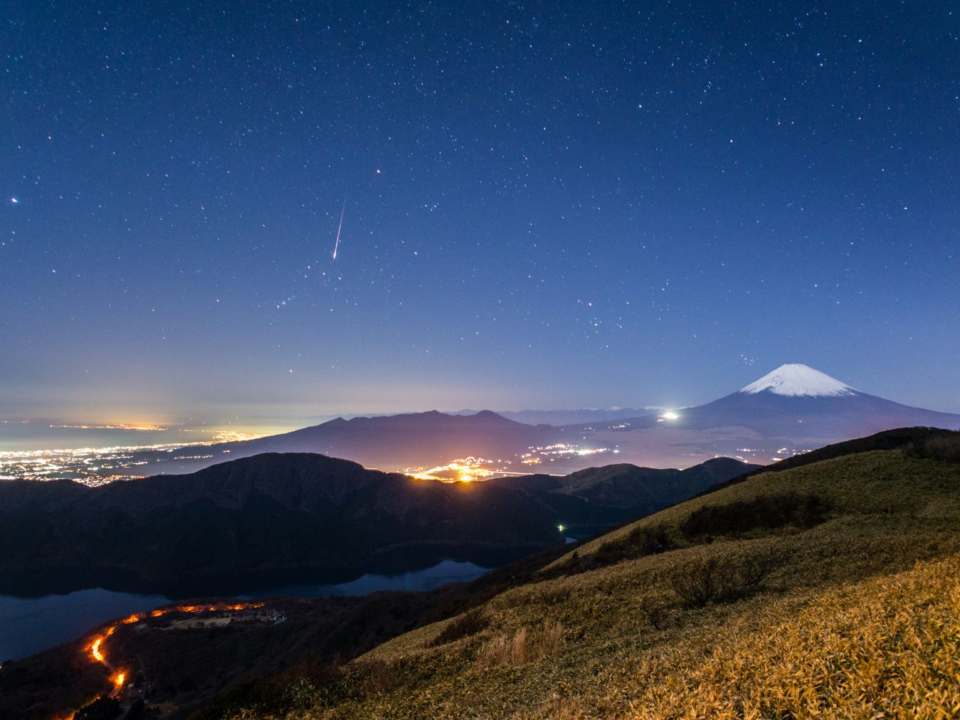 【17:50~】 箱根宙旅Wan!Fes専用 ワンちゃん特別便運航 【17:50~】 箱根宙旅Wan!Fes専用 ワンちゃん特別便運航