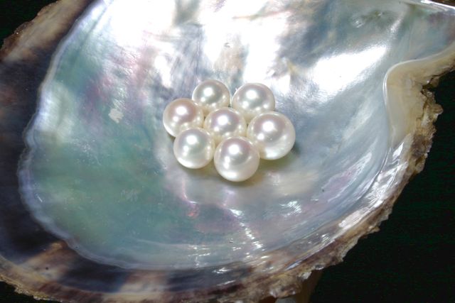 ミキモト真珠島 3枚目