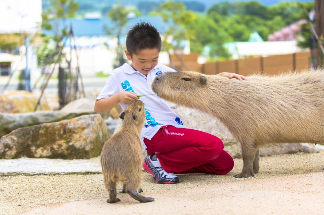 那須どうぶつ王国 写真4