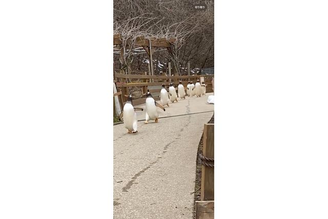 那須どうぶつ王国