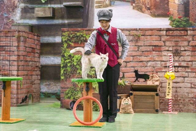 超特割!【最大20%割引】那須どうぶつ王国 並ばず入れる入国前売券(冬季期間:2025/12/19~2026/3/9) 超特割!【最大20%割引】那須どうぶつ王国 並ばず入れる入国前売券(冬季期間:2025/12/19~2026/3/9)