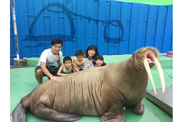 伊勢夫婦岩ふれあい水族館シーパラダイス（伊勢シーパラダイス） 写真2