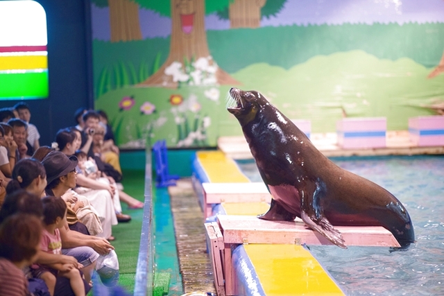伊勢夫婦岩ふれあい水族館シーパラダイス（伊勢シーパラダイス） 写真4