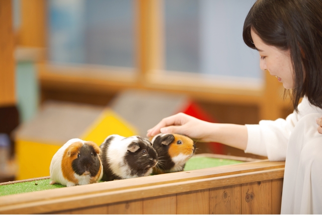 伊勢夫婦岩ふれあい水族館シーパラダイス（伊勢シーパラダイス） 写真7