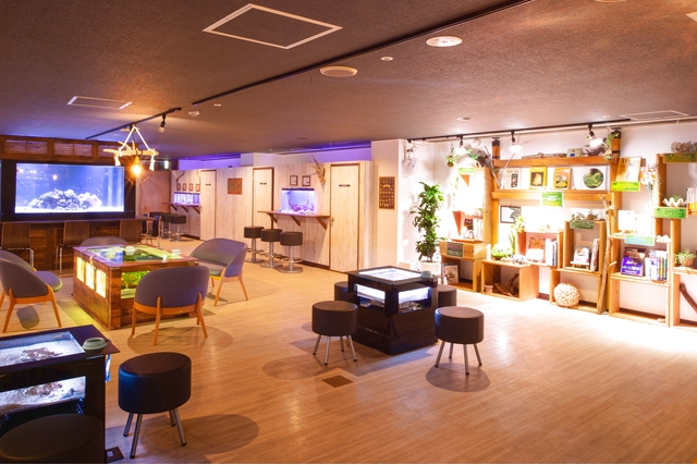 伊勢夫婦岩ふれあい水族館 伊勢シーパラダイス 4枚目