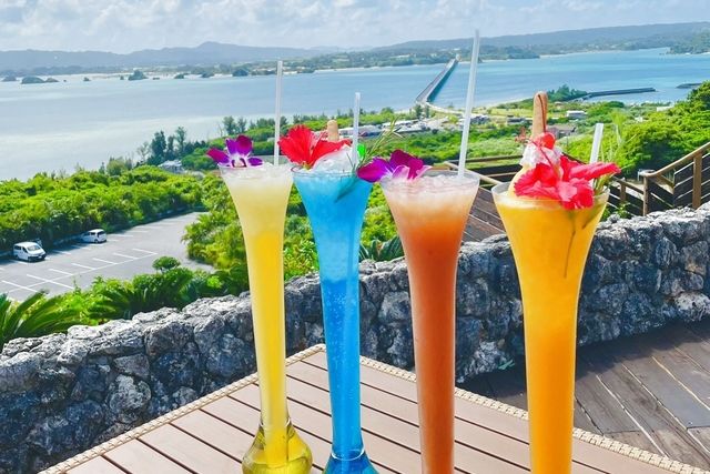 ナゴパイナップルパーク 2枚目