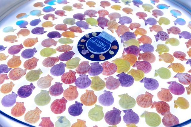 ナゴパイナップルパーク 3枚目