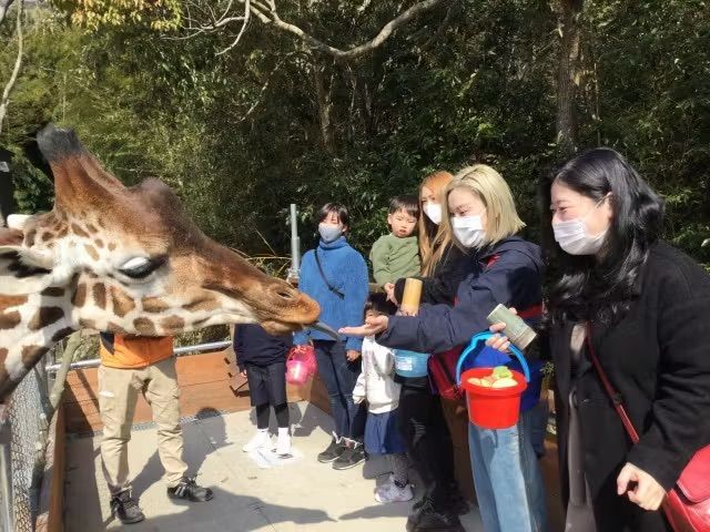 しろとり動物園 夏のナイトZOO 入園チケット(8/29, 9/5, 9/12) しろとり動物園 夏のナイトZOO 入園チケット(8/29, 9/5, 9/12)
