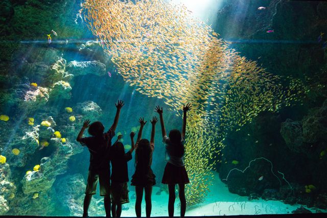 アクアマリンふくしま 3枚目