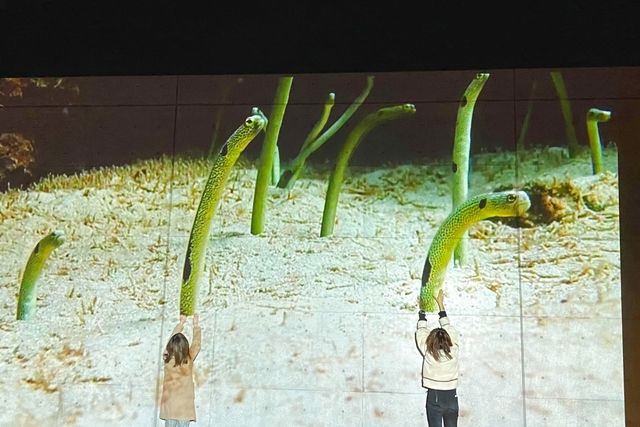 アクアマリンふくしま 2枚目