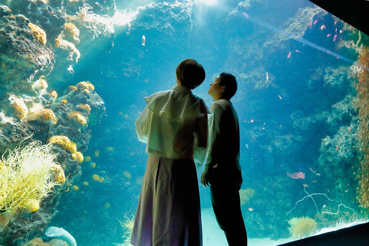 【今だけ2人でお得!】友人・夫婦・カップルで使える入館前売り券「ラブカップルチケット」 【今だけ2人でお得!】友人・夫婦・カップルで使える入館前売り券「ラブカップルチケット」