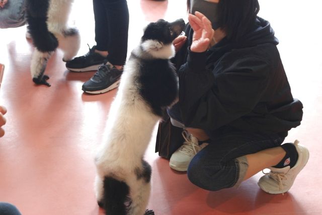 【学生応援プラン!】那須ワールドモンキーパーク 前売り入園券 【学生応援プラン!】那須ワールドモンキーパーク 前売り入園券