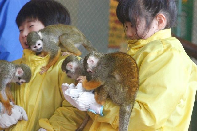 【学生応援プラン!】那須ワールドモンキーパーク 前売り入園券 【学生応援プラン!】那須ワールドモンキーパーク 前売り入園券