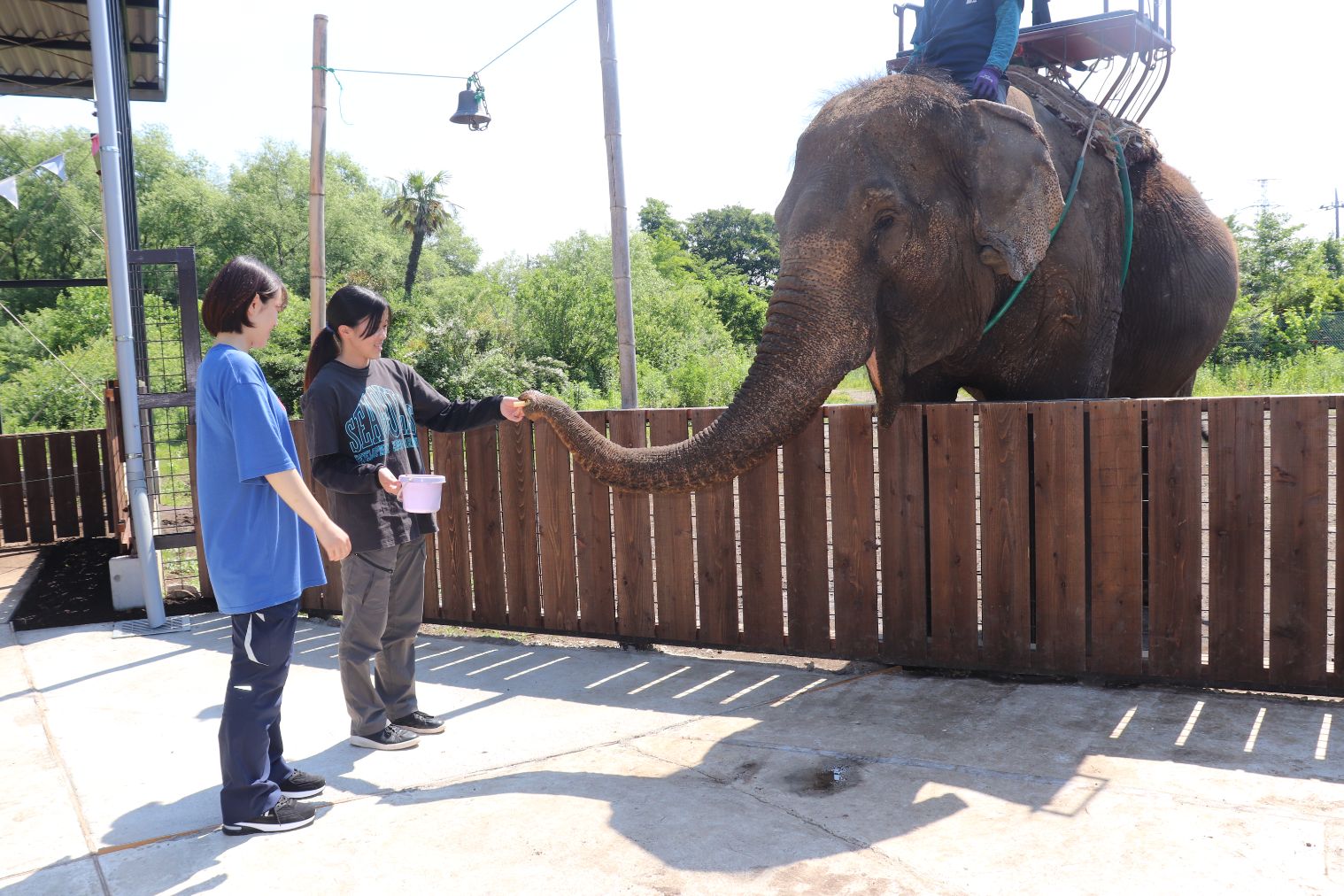 【購入翌日から利用可】那須ワールドモンキーパーク満喫クーポン付前売り入園券(エサ券付) 【購入翌日から利用可】那須ワールドモンキーパーク満喫クーポン付前売り入園券(エサ券付)