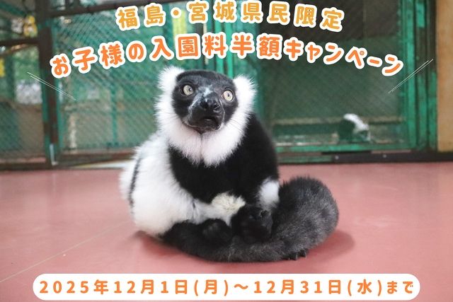 【福島・宮城県民限定】2025年12月子供入園半額!那須ワールドモンキーパーク入園券 【福島・宮城県民限定】2025年12月子供入園半額!那須ワールドモンキーパーク入園券