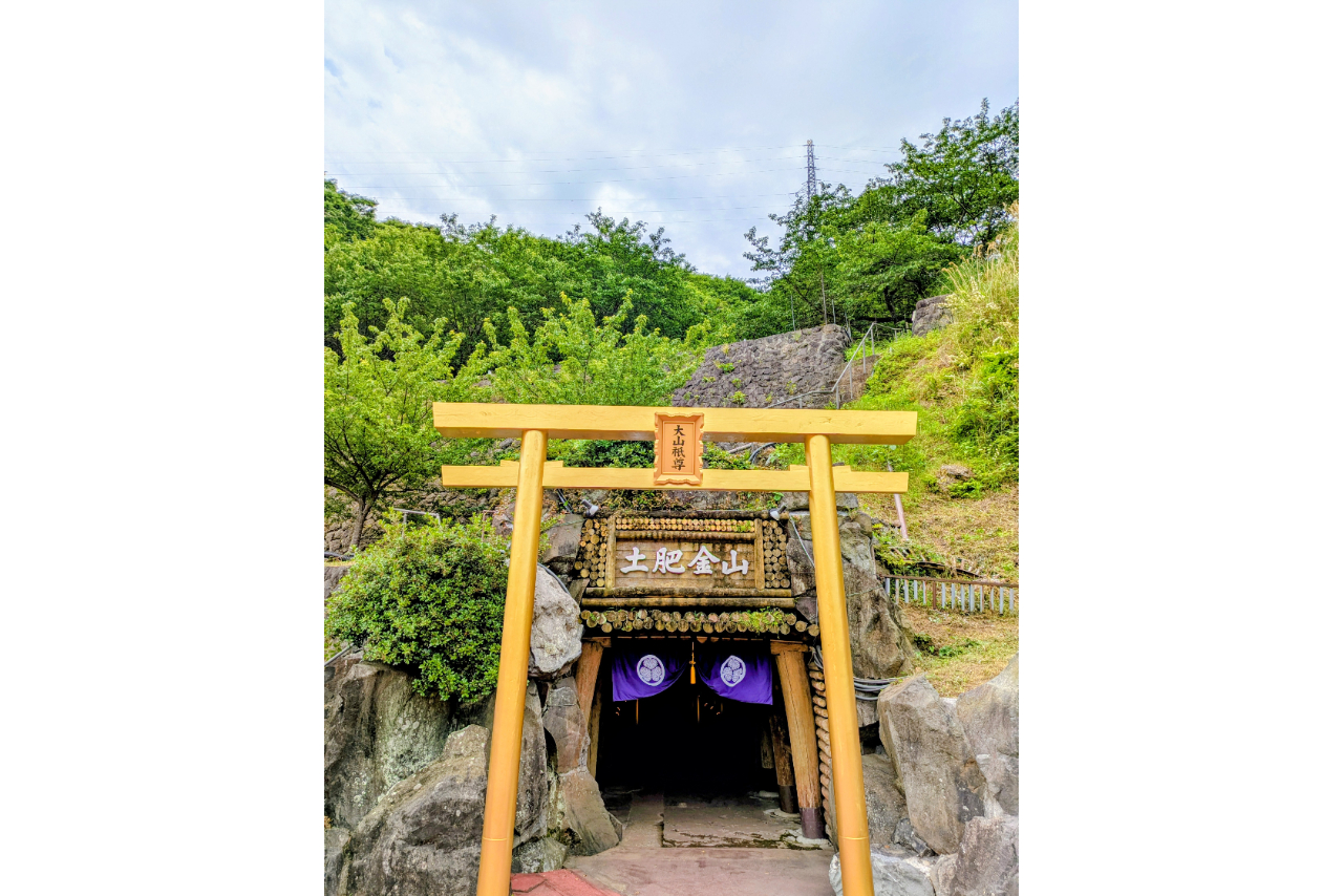 【平日限定・福福セット】入場(開運 黄金ノ庭&黄金鳥居&金抗めぐり&山神社&黄金館)+福銀採りコース (銀のみ) 【平日限定・福福セット】入場(開運 黄金ノ庭&黄金鳥居&金抗めぐり&山神社&黄金館)+福銀採りコース (銀のみ)