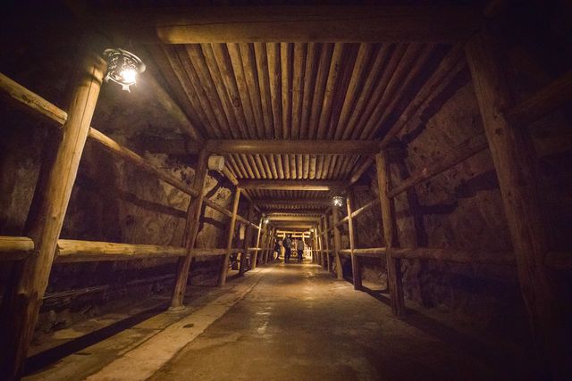 【平日限定・福福セット】入場(開運 黄金ノ庭&黄金鳥居&金抗めぐり&山神社&黄金館)+福銀採りコース (銀のみ) 【平日限定・福福セット】入場(開運 黄金ノ庭&黄金鳥居&金抗めぐり&山神社&黄金館)+福銀採りコース (銀のみ)
