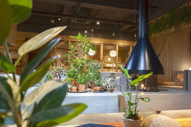 【土日祝限定!パパママ応援】1,060円お得!ファミリー入館プラン | 入館料・館内着付き 【土日祝限定!パパママ応援】1,060円お得!ファミリー入館プラン | 入館料・館内着付き