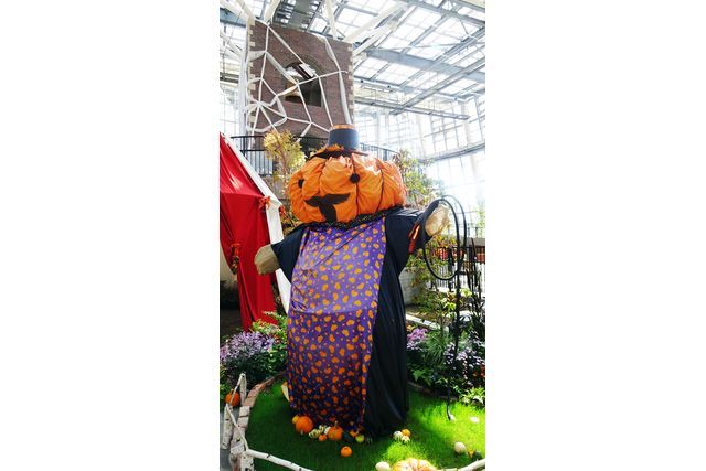 安城産業文化公園デンパーク 2枚目