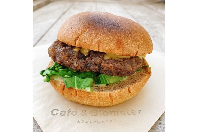 安城産業文化公園デンパーク 8枚目