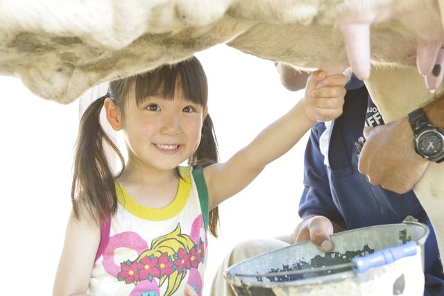 サツマイモ掘りもうすぐ終了【スイスイ入場】成田ゆめ牧場前売り入場券 サツマイモ掘りもうすぐ終了【スイスイ入場】成田ゆめ牧場前売り入場券