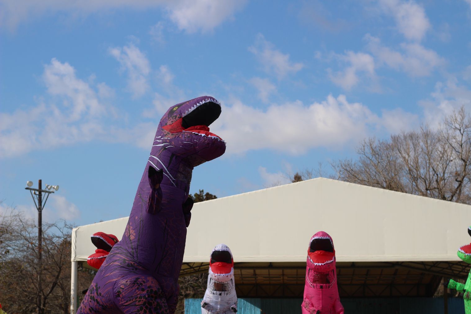 【まきばの恐竜レース】レンタル恐竜スーツ 【まきばの恐竜レース】レンタル恐竜スーツ