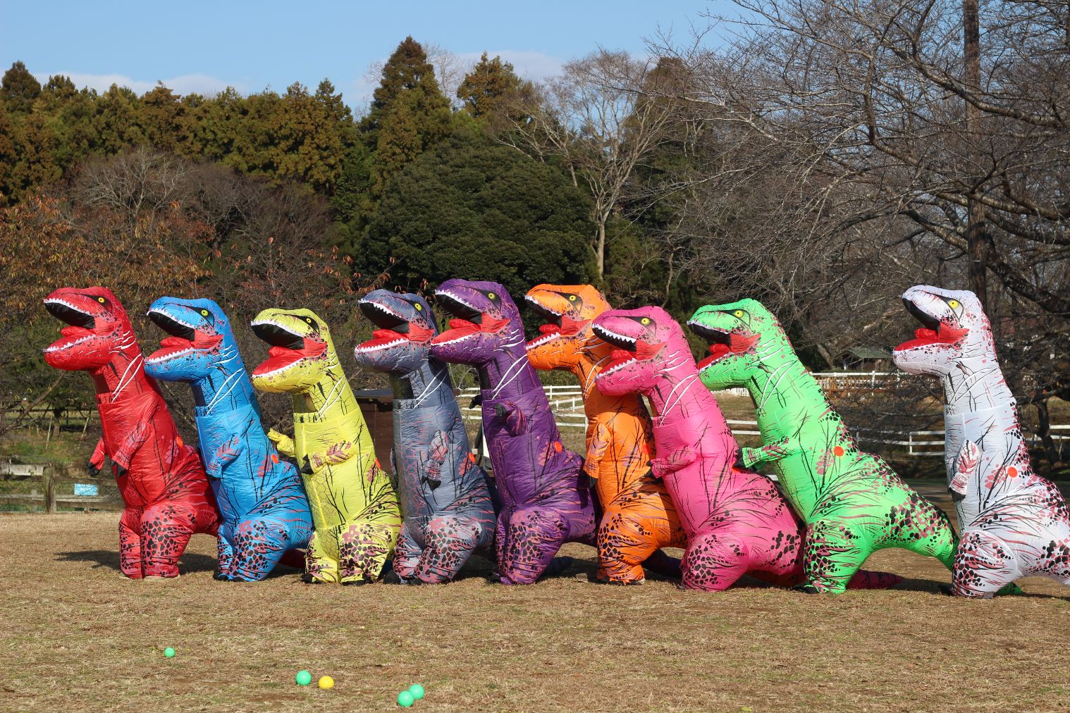 【まきばの恐竜レース】レンタル恐竜スーツ 【まきばの恐竜レース】レンタル恐竜スーツ