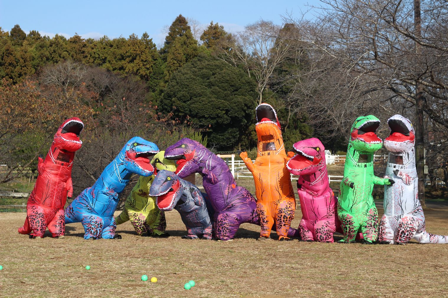 【まきばの恐竜レース】レンタル恐竜スーツ 【まきばの恐竜レース】レンタル恐竜スーツ
