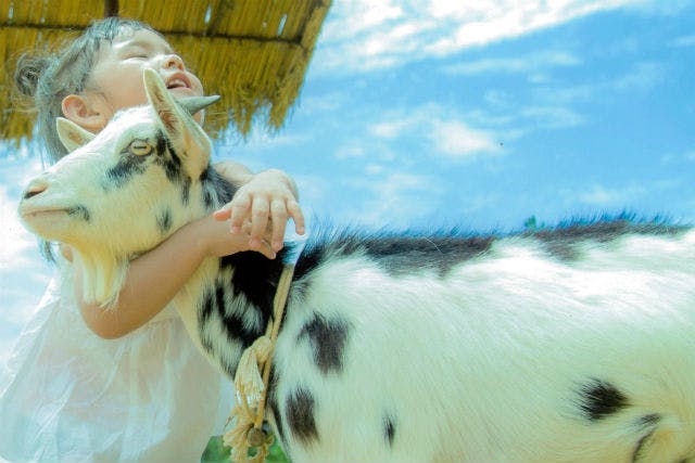 ビオスの丘 3枚目